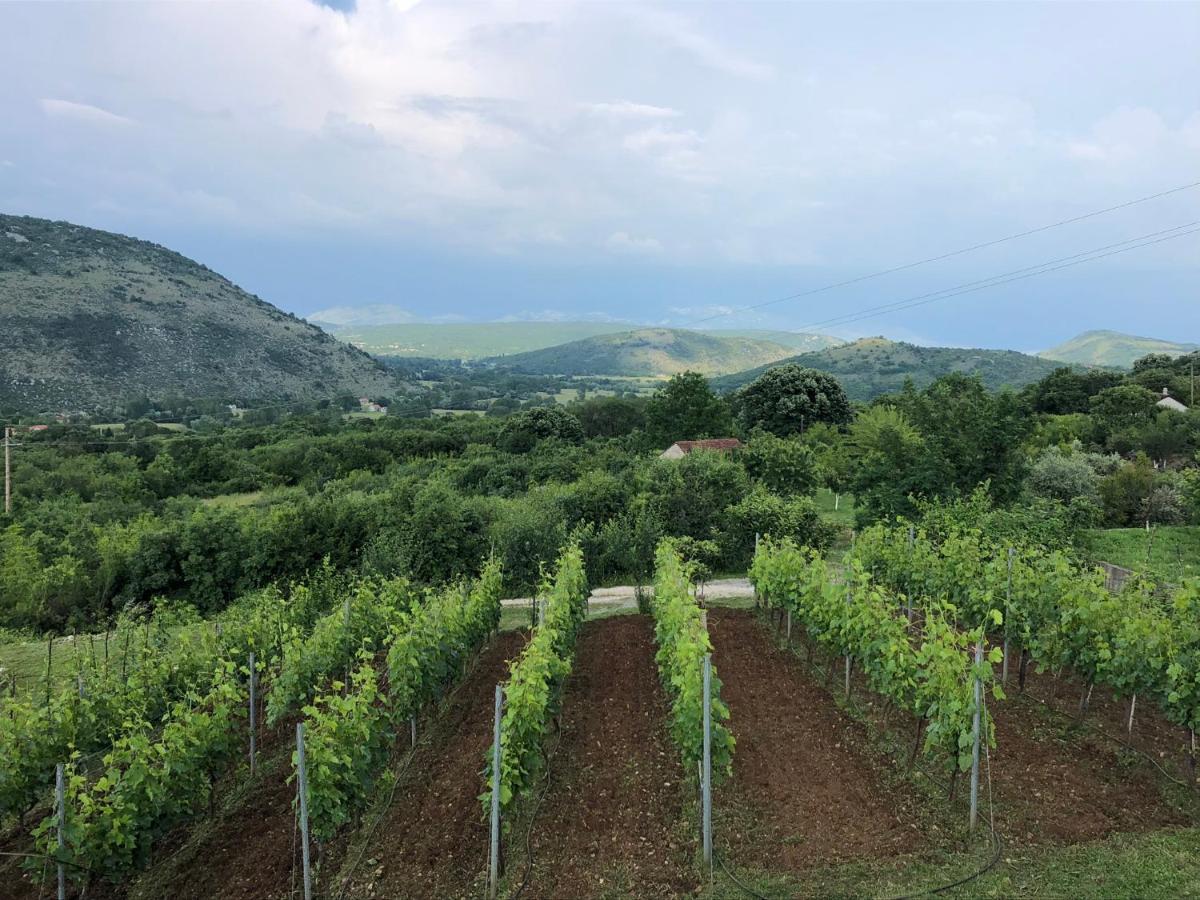 Green Silence - Iva Danilovgrad Esterno foto