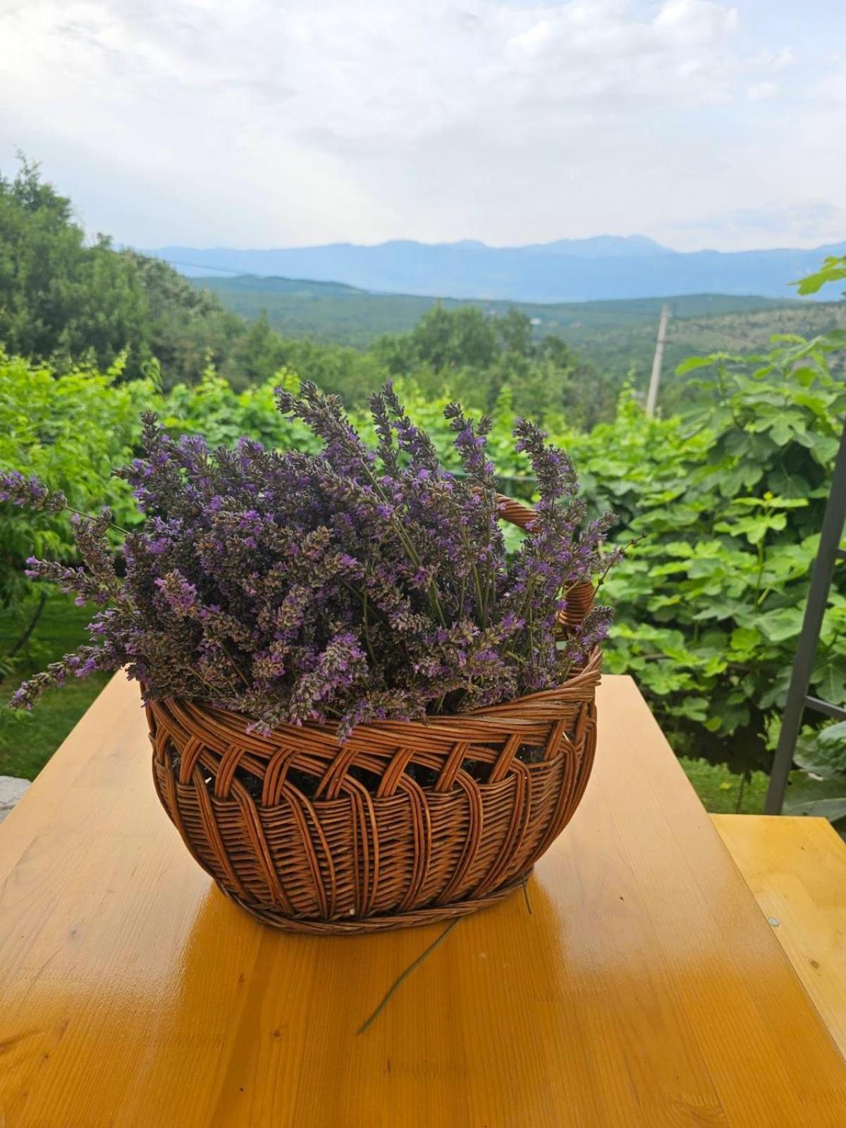 Green Silence - Iva Danilovgrad Esterno foto